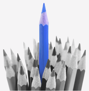 web-dev-new-pic
