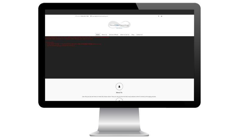 SilverLink Consulting - Before